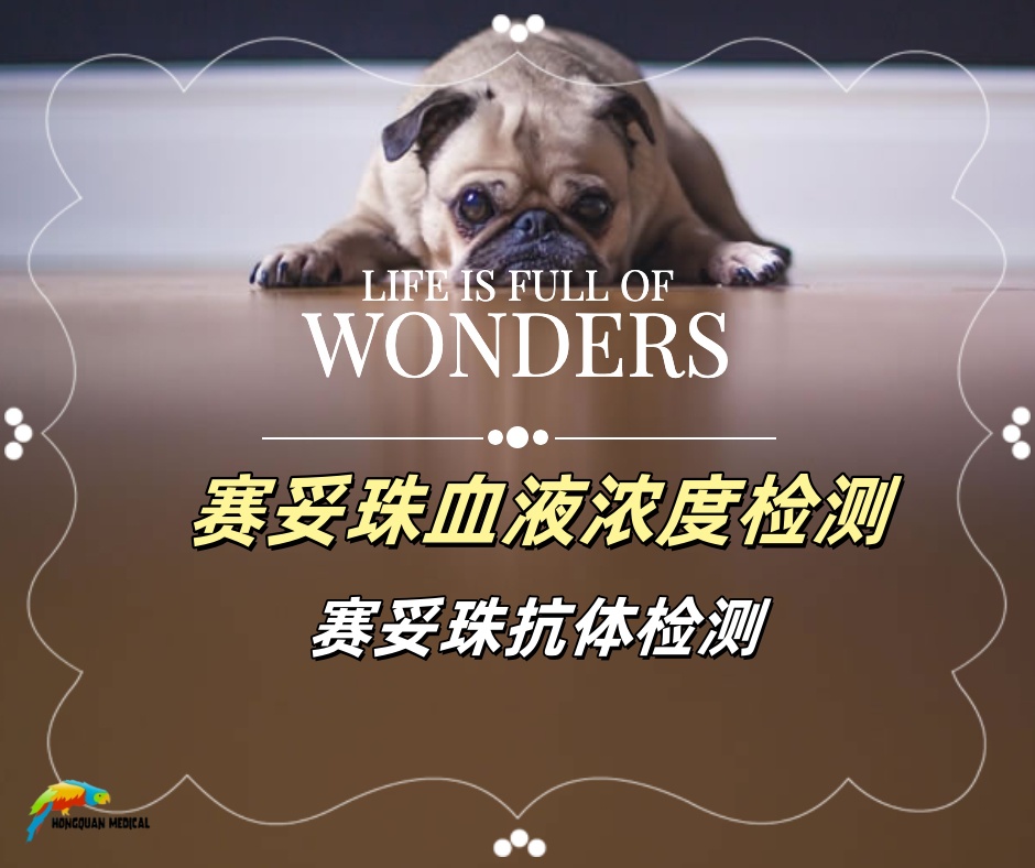 南京虹泉供应赛妥珠单抗血药浓度检测试剂盒（优时化） 试剂