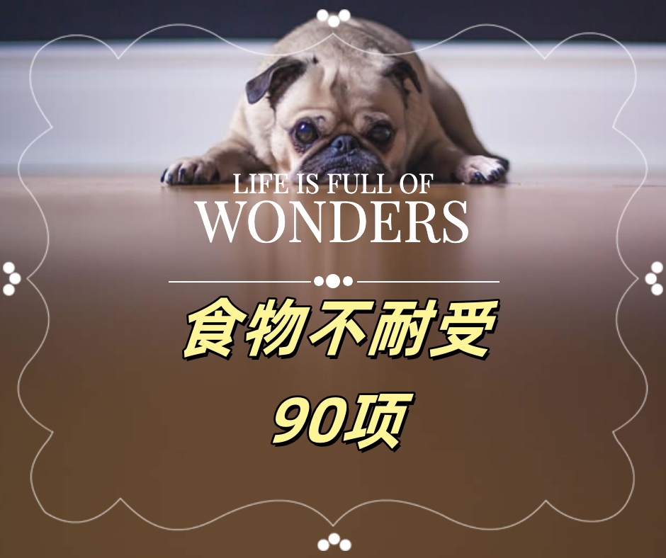 食物不耐受90项检测