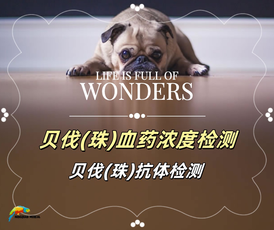 贝伐珠单抗血药浓度检测