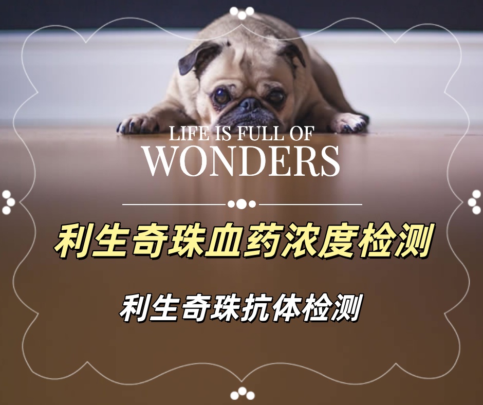 利生奇珠血药浓度检测